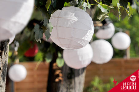 prise de la bastille 2016 photos franck crispin 006